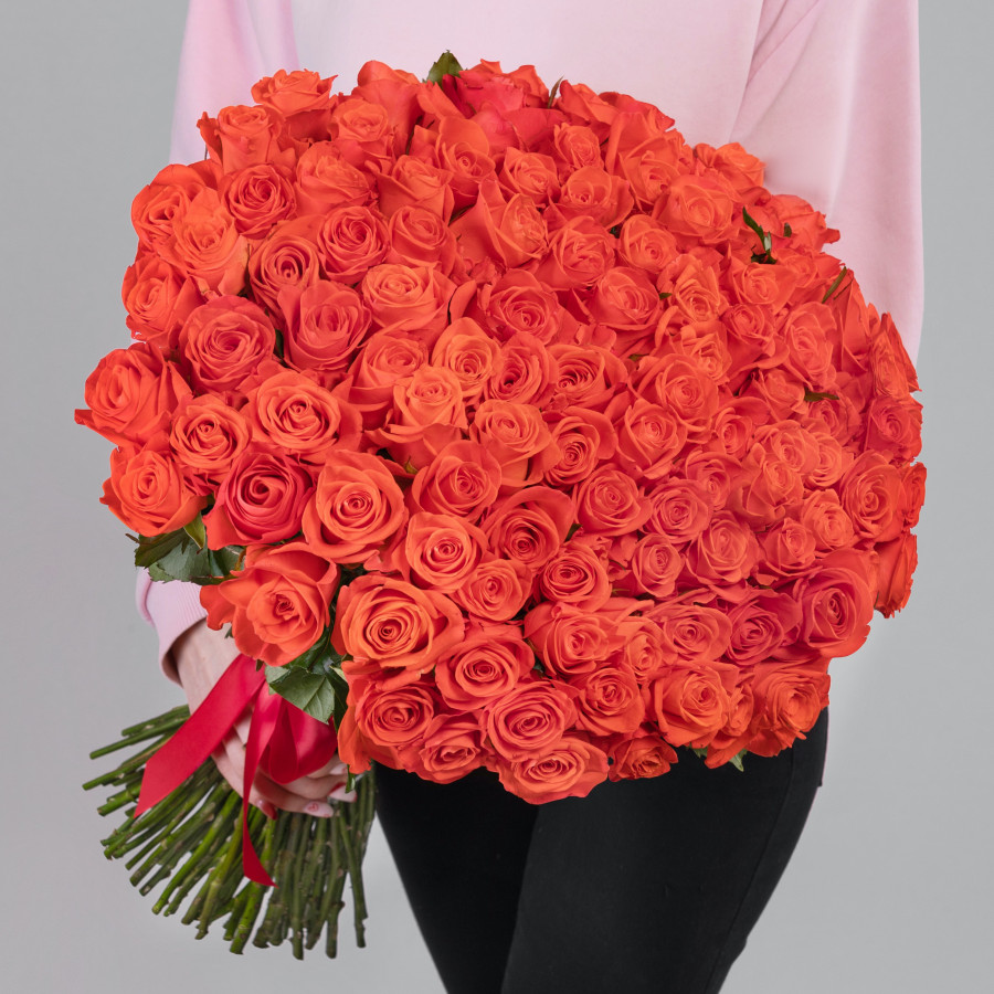 101 Ярко-Оранжевая Роза